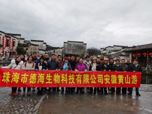 2019年员工安徽游